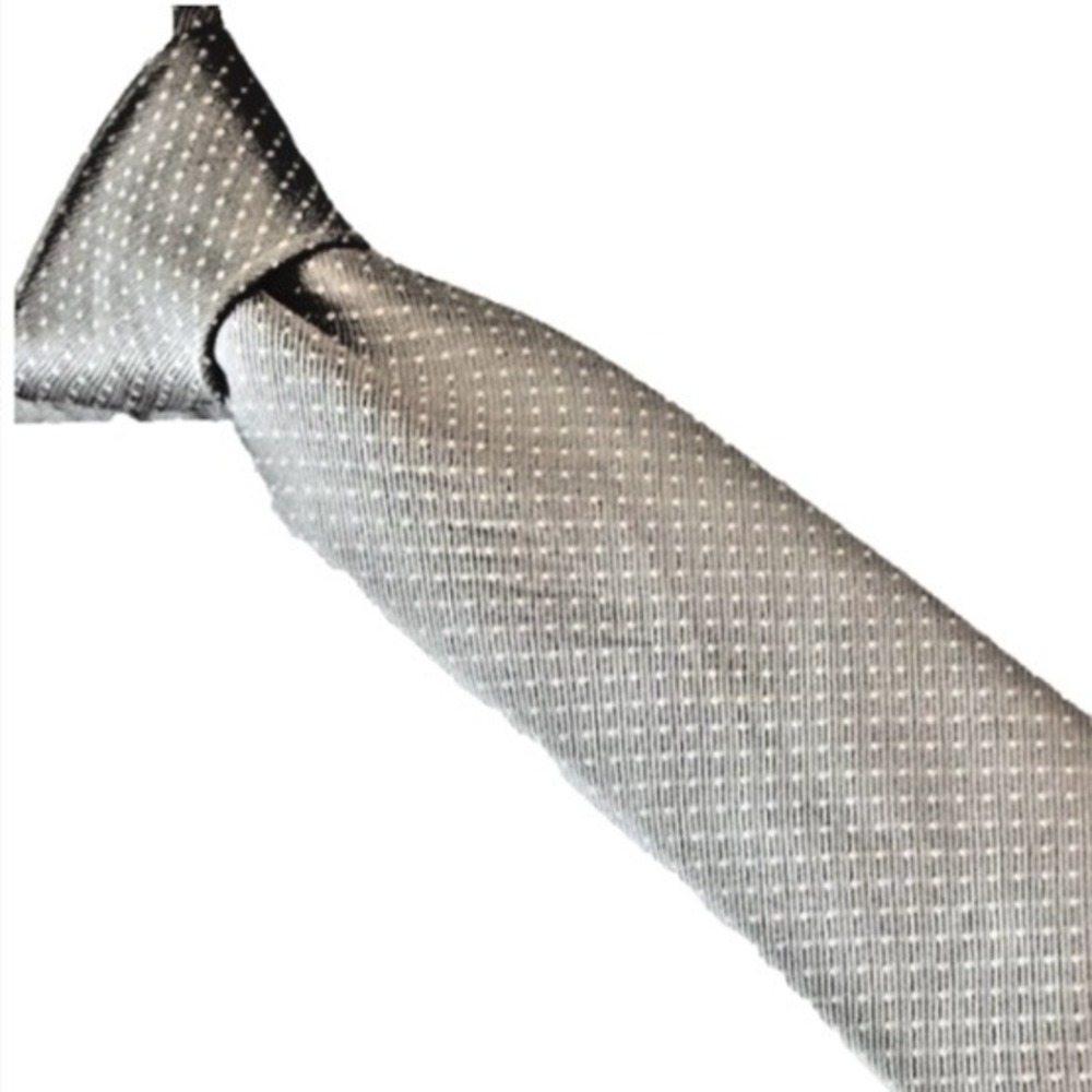 ESQUIRE Mens Tie Gray White Micro Dots 100% Silk Designer Necktie Office Modern - Picture 1 of 7
